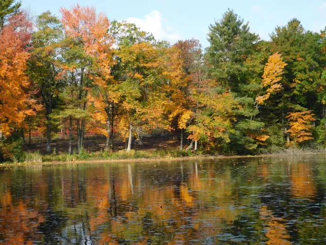 $299,950 | W606 Joe Johnson Road, Suring, WI 54174