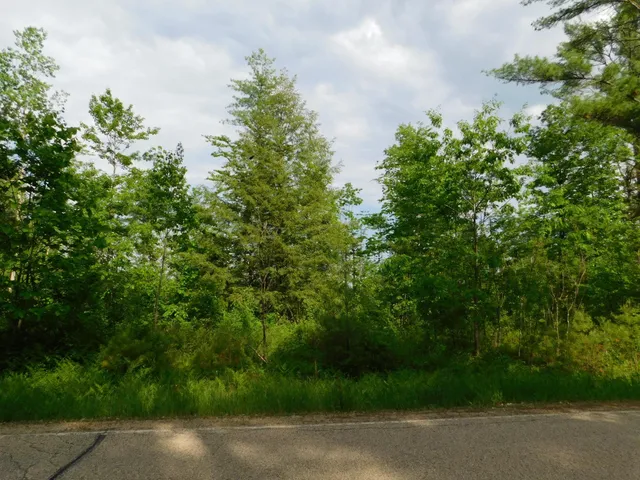 $299,950 | W606 Joe Johnson Road, Suring, WI 54174