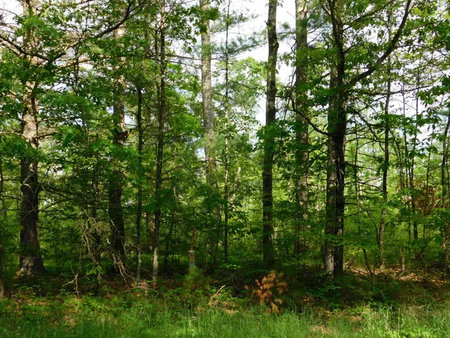 $299,950 | W606 Joe Johnson Road, Suring, WI 54174