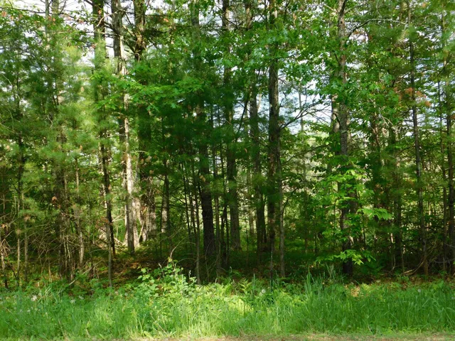 $299,950 | W606 Joe Johnson Road, Suring, WI 54174