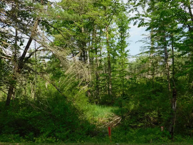 $299,950 | W606 Joe Johnson Road, Suring, WI 54174