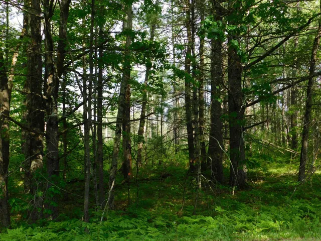 $299,950 | W606 Joe Johnson Road, Suring, WI 54174