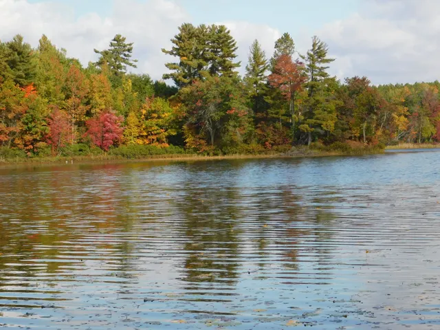 $299,950 | W606 Joe Johnson Road, Suring, WI 54174