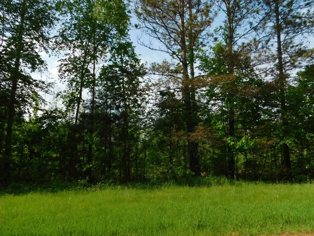 $299,950 | W606 Joe Johnson Road, Suring, WI 54174