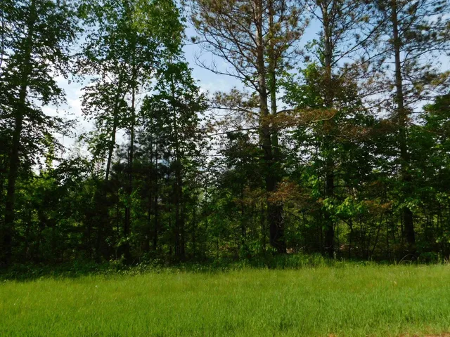 $299,950 | W606 Joe Johnson Road, Suring, WI 54174