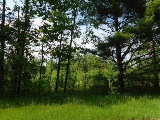 $299,950 | W606 Joe Johnson Road, Suring, WI 54174