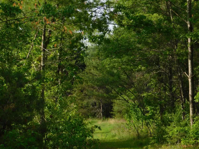 $299,950 | W606 Joe Johnson Road, Suring, WI 54174