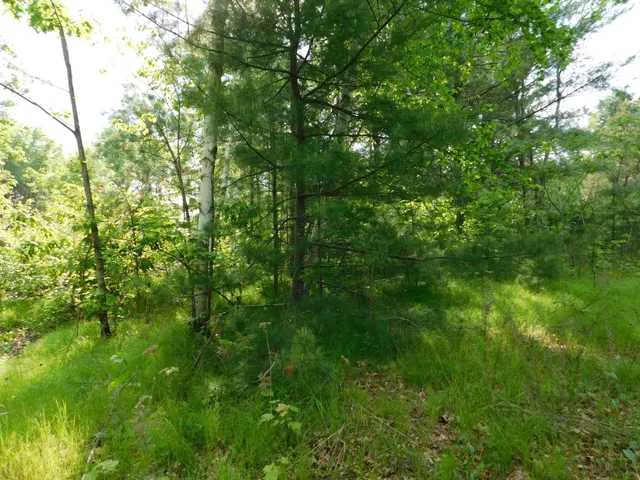 $299,950 | W606 Joe Johnson Road, Suring, WI 54174