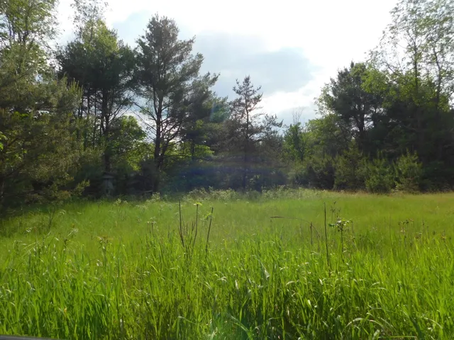 $299,950 | W606 Joe Johnson Road, Suring, WI 54174