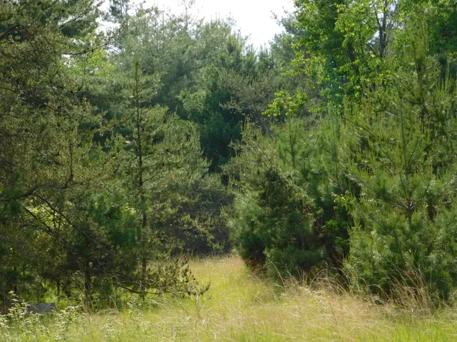 $299,950 | W606 Joe Johnson Road, Suring, WI 54174