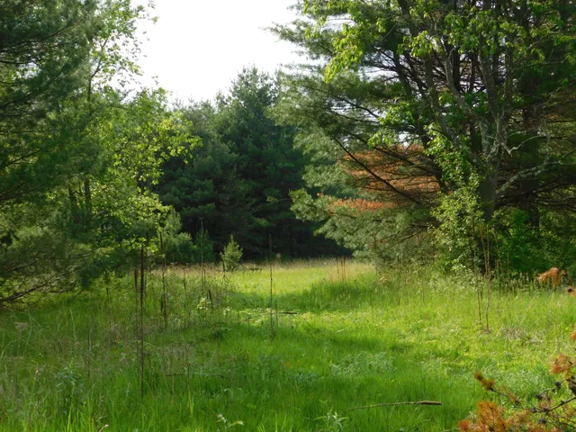 $299,950 | W606 Joe Johnson Road, Suring, WI 54174