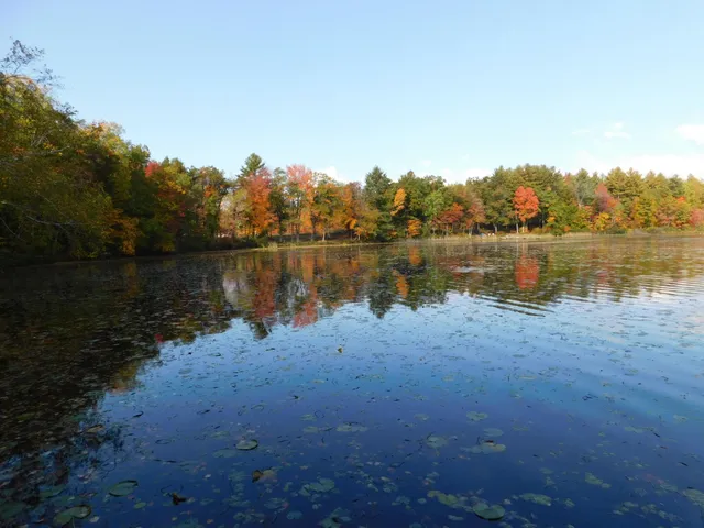 $299,950 | W606 Joe Johnson Road, Suring, WI 54174