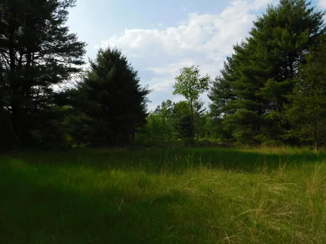 $299,950 | W606 Joe Johnson Road, Suring, WI 54174