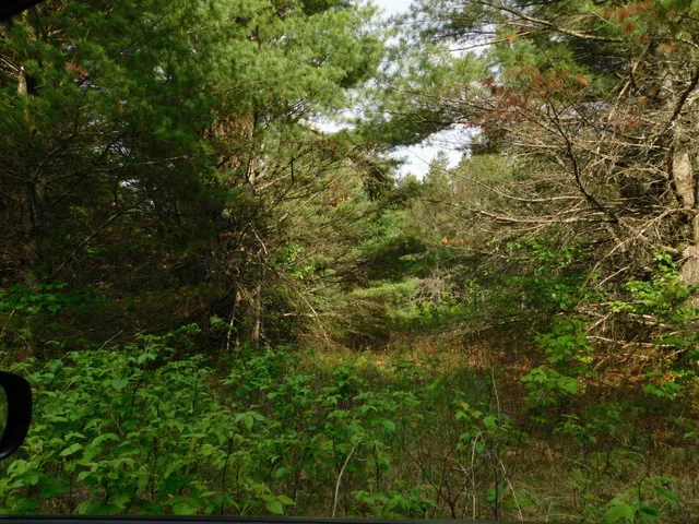 $299,950 | W606 Joe Johnson Road, Suring, WI 54174