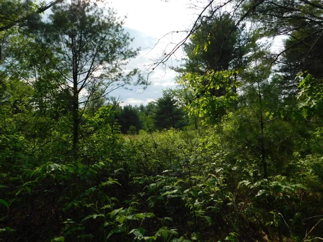 $299,950 | W606 Joe Johnson Road, Suring, WI 54174