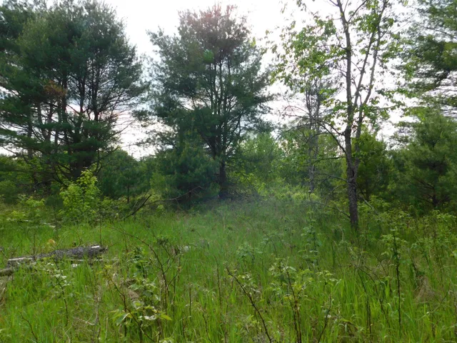 $299,950 | W606 Joe Johnson Road, Suring, WI 54174