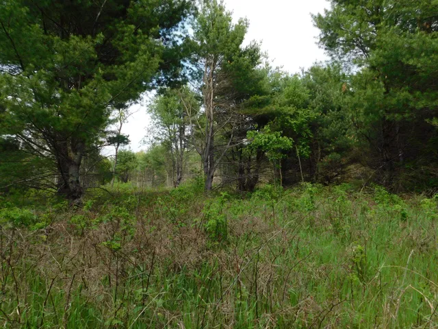 $299,950 | W606 Joe Johnson Road, Suring, WI 54174