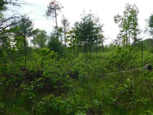 $299,950 | W606 Joe Johnson Road, Suring, WI 54174