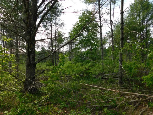 $299,950 | W606 Joe Johnson Road, Suring, WI 54174