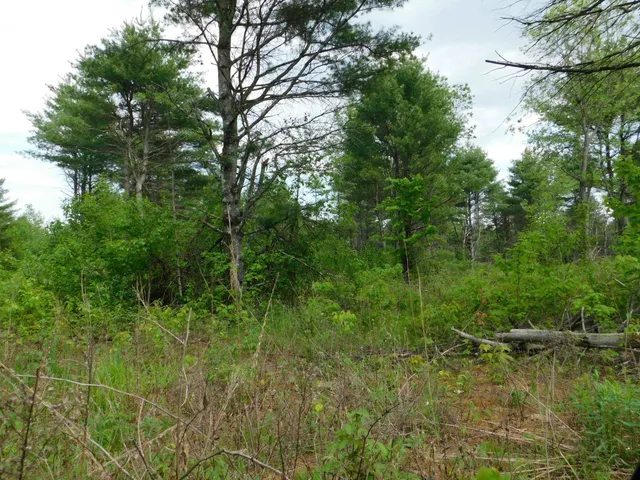 $299,950 | W606 Joe Johnson Road, Suring, WI 54174