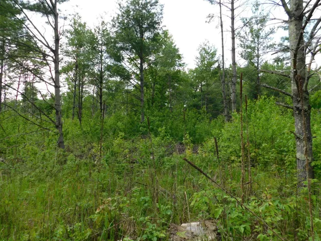 $299,950 | W606 Joe Johnson Road, Suring, WI 54174