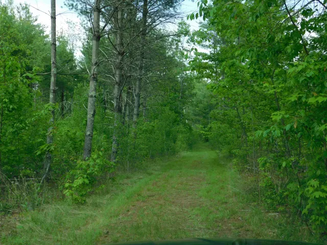 $299,950 | W606 Joe Johnson Road, Suring, WI 54174