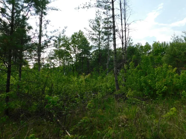 $299,950 | W606 Joe Johnson Road, Suring, WI 54174