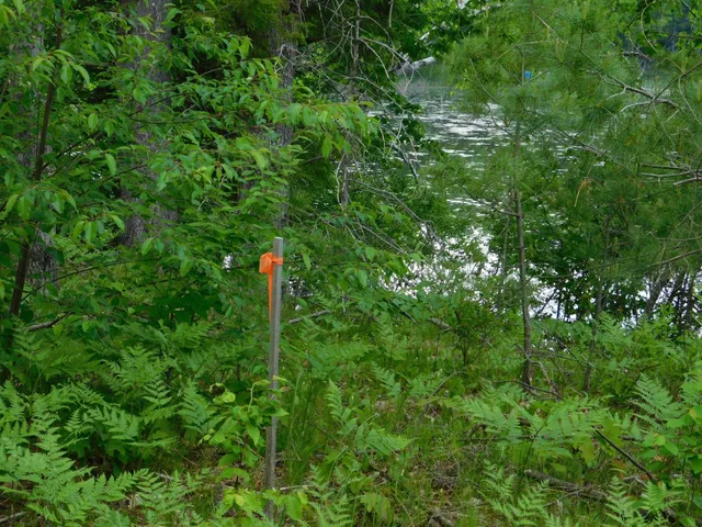 $299,950 | W606 Joe Johnson Road, Suring, WI 54174