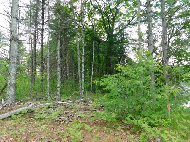 $299,950 | W606 Joe Johnson Road, Suring, WI 54174