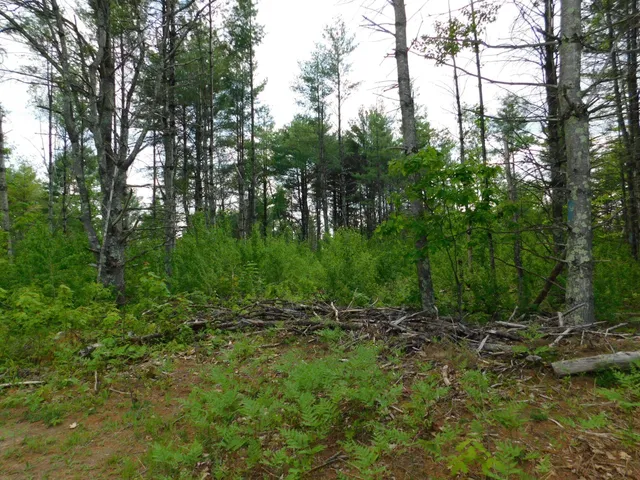 $299,950 | W606 Joe Johnson Road, Suring, WI 54174