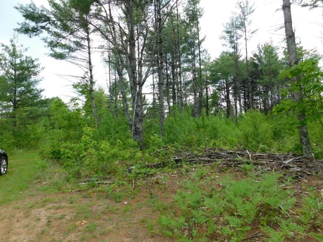 $299,950 | W606 Joe Johnson Road, Suring, WI 54174