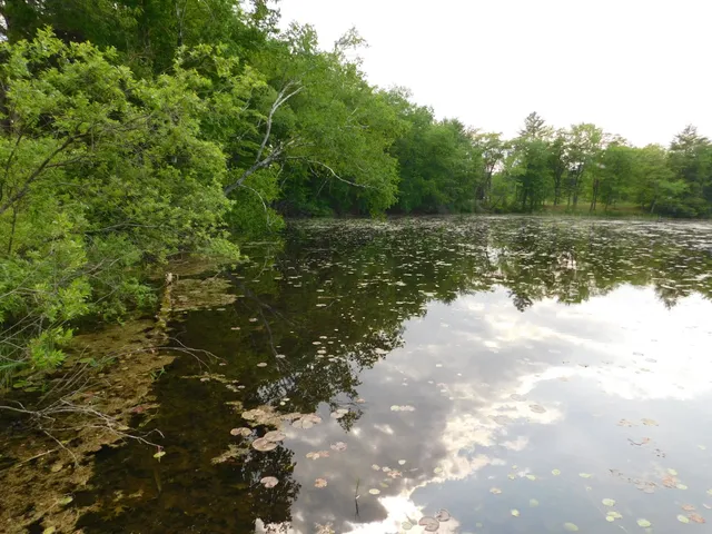 $299,950 | W606 Joe Johnson Road, Suring, WI 54174