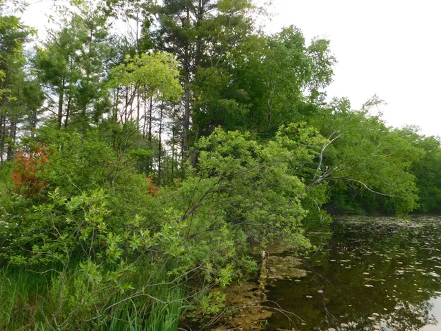 $299,950 | W606 Joe Johnson Road, Suring, WI 54174