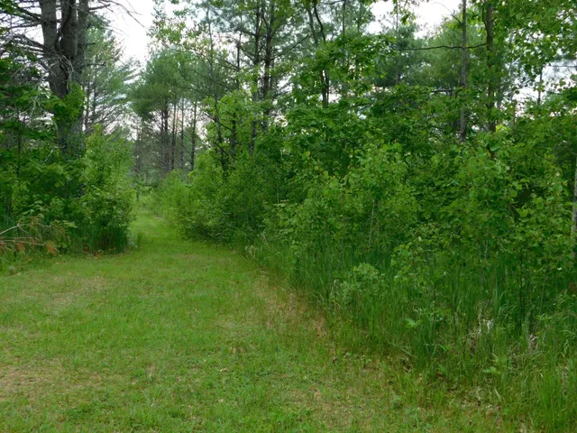 $299,950 | W606 Joe Johnson Road, Suring, WI 54174