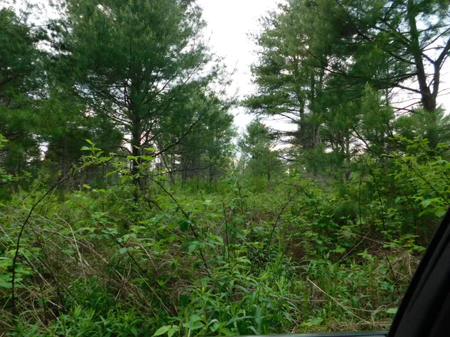 $299,950 | W606 Joe Johnson Road, Suring, WI 54174