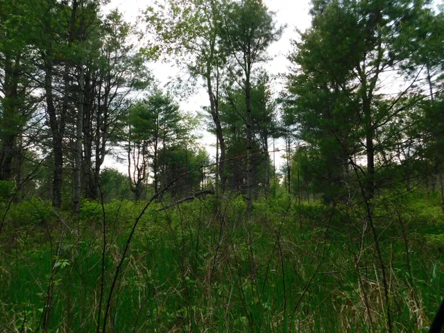 $299,950 | W606 Joe Johnson Road, Suring, WI 54174