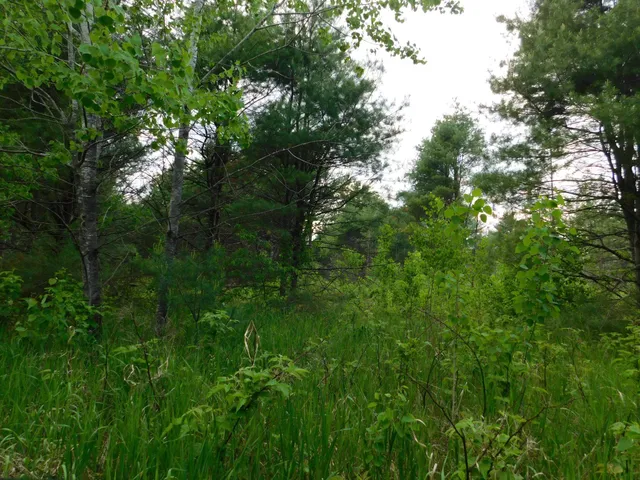 $299,950 | W606 Joe Johnson Road, Suring, WI 54174