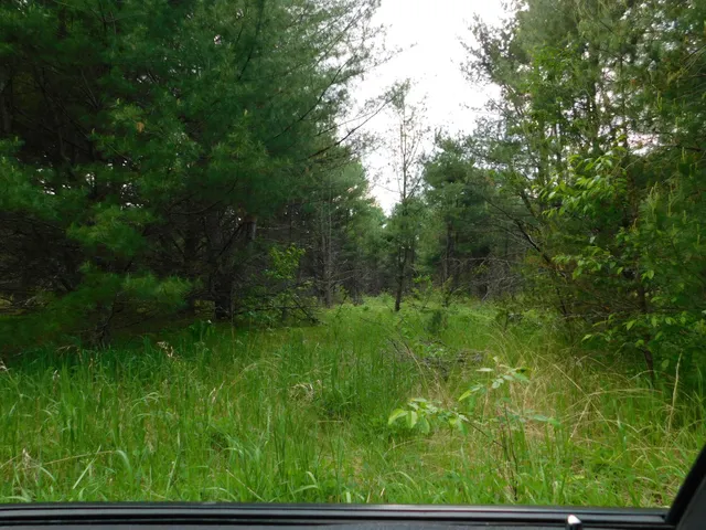 $299,950 | W606 Joe Johnson Road, Suring, WI 54174