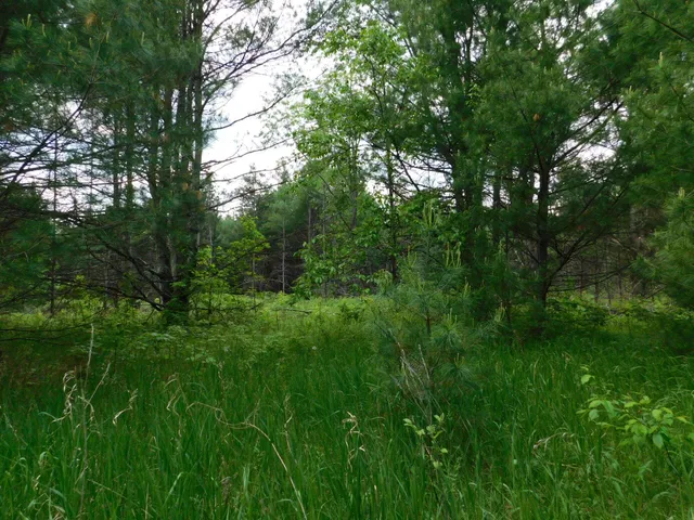 $299,950 | W606 Joe Johnson Road, Suring, WI 54174