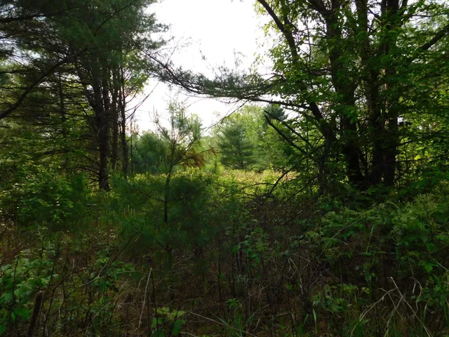 $299,950 | W606 Joe Johnson Road, Suring, WI 54174