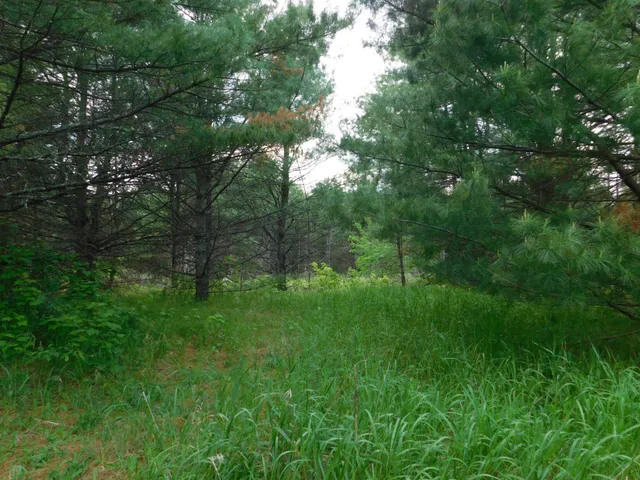 $299,950 | W606 Joe Johnson Road, Suring, WI 54174