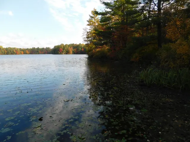 $299,950 | W606 Joe Johnson Road, Suring, WI 54174