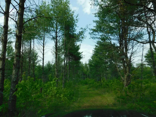 $299,950 | W606 Joe Johnson Road, Suring, WI 54174