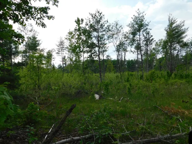 $299,950 | W606 Joe Johnson Road, Suring, WI 54174