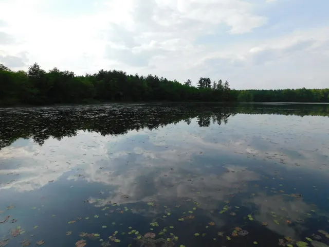 $299,950 | W606 Joe Johnson Road, Suring, WI 54174