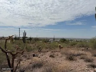 a view of a town with trees in the background