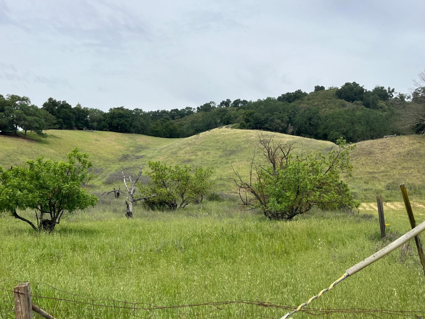 0 Casa Loma Road Morgan Hill, CA 95037 - Photo 5 of 13 a view of a garden