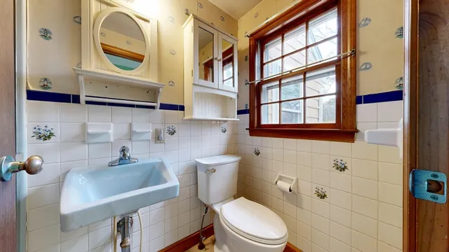 a bathroom with a toilet a sink and a mirror