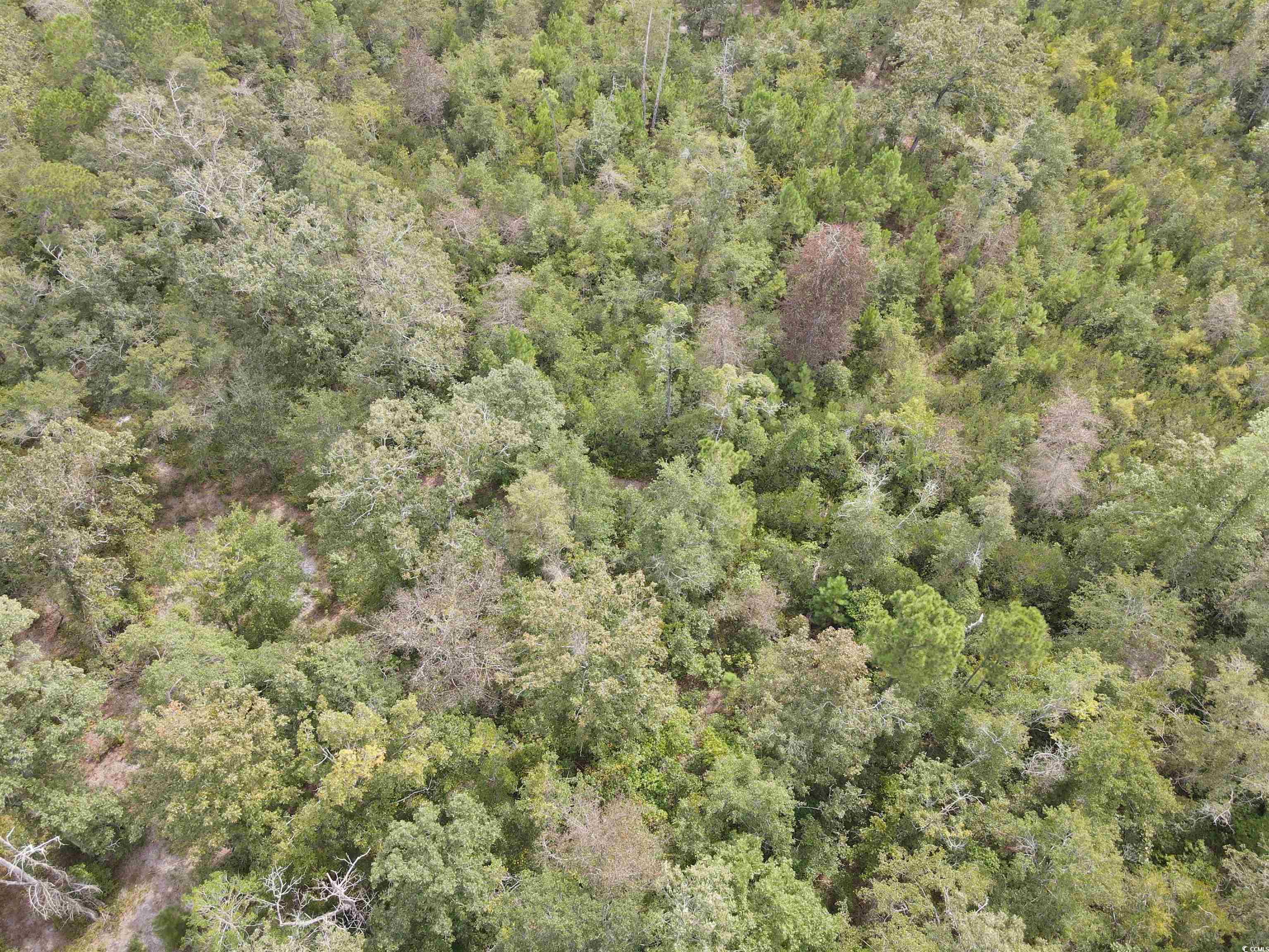 Lot 6 Rainbow Drive Loris, SC 29569 - Photo 11 of 21