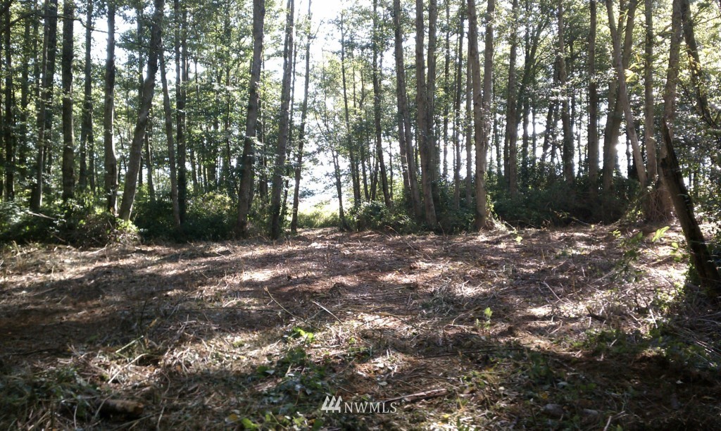 65-xx Olson Road Ferndale, WA 98248 - Photo 1 of 6